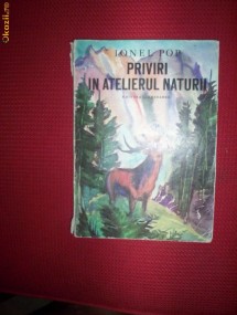 Ionel Pop-Priviri in atelierul naturii foto