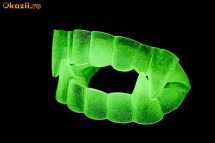 Dinti de vampir glow in the dark fosforescenti, glow , se reincarca la lumina foto