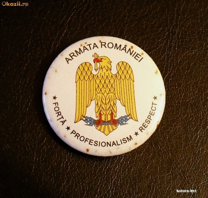 (M) Romania - Insigna militara - Armata Romaniei foto mare