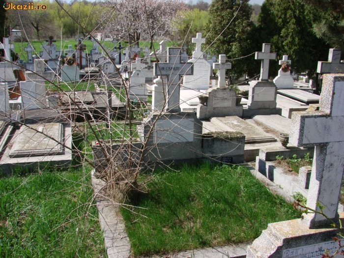 Vand loc de veci Manastirea Cernica foto mare
