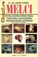 Melci - 122676 foto mare