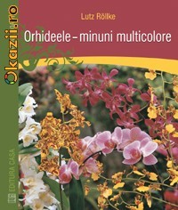 Orhideele - minuni multicolore - 122689 foto mare