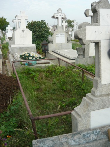 VAND LOC DE VECI IN CIMITIRUL GHENCEA 2 (DOMNESTI) foto mare